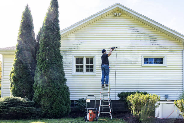 Best Building Exterior Washing  in Shafer, MN