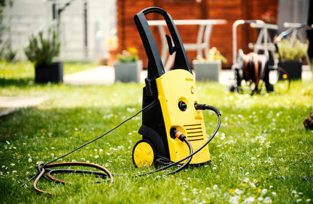 Best Pre-Holiday Cleaning  in Shafer, MN